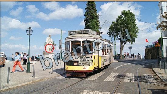 решения на игру Где же кот Уровень 6635