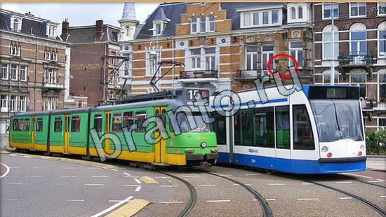 ответы на игру Где же кот Уровень 6636