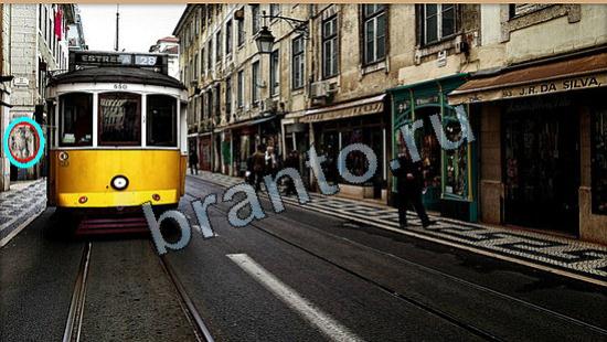 ответы в картинках на игру Где же кот Уровень 6637