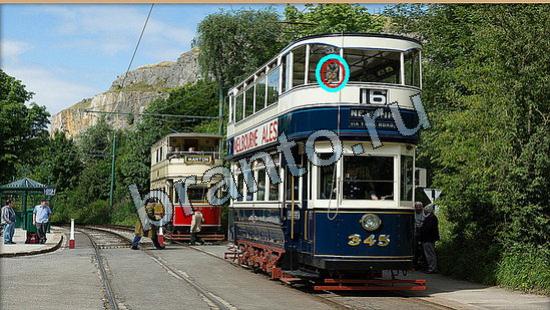 Где же кот ответы в одноклассниках Уровень 6639