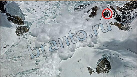 ответы на игру Где же кот Уровень 6641