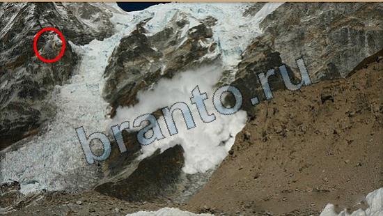 Подсказки на игру Где же кот Уровень 6642