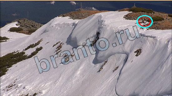 Решения на игру Где же кот Уровень 6643