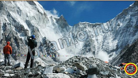 Помощь на игру Где же кот Уровень 6644