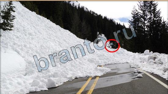 ответы на игру в одноклассниках Где же кот Уровень 6646