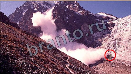 Где же кот игра ответы в одноклассниках Уровень 6647