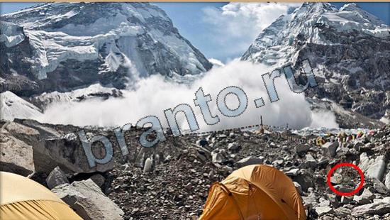 Где же кот? подсказки Уровень 6649