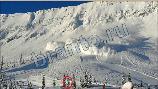 Где же кот? помощь Уровень 6650