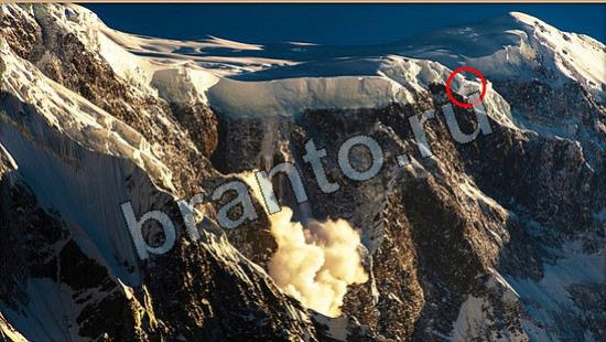 Где же кот? решения Уровень 6652