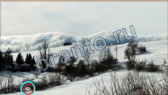 Где же кот игра ответы Уровень 6653