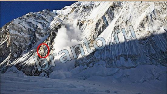 Где же кот игра подсказки Уровень 6654