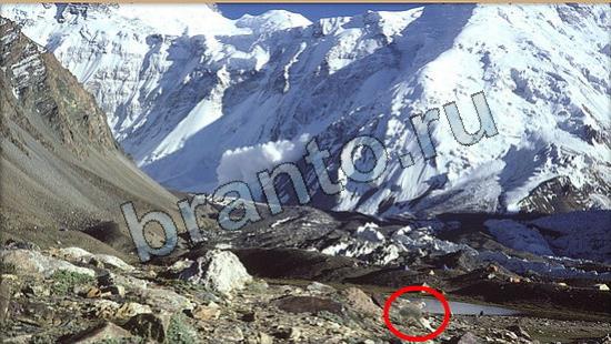 игра Где же кот помощь Уровень 6659