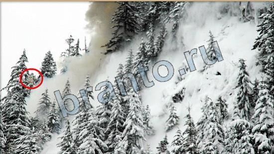 Игра Где же кот прохождение Уровень 6660