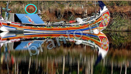 Где же кот прохождение игры Уровень 6662