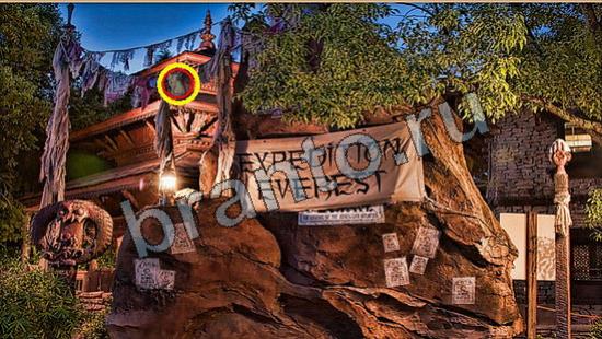 ответы Где же кот Уровень 6665