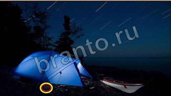 ответы Где же кот? в одноклассниках Уровень 6666