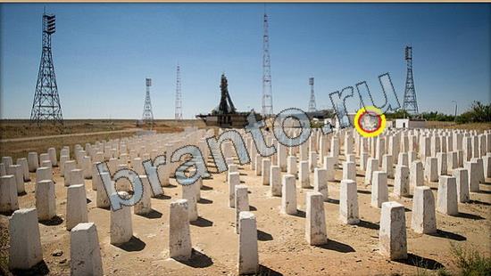 Где же кот игра ответы Уровень 6669