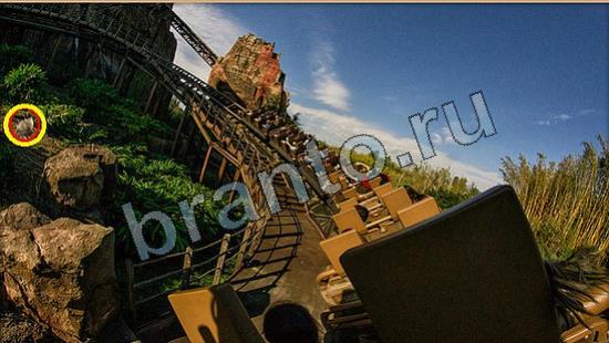 игра в одноклассниках Где же кот ответы Уровень 6670