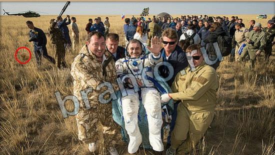 Где же кот помощь в картинках Уровень 6671