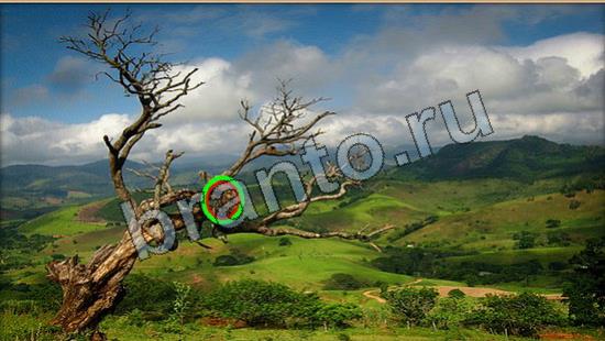 ответы на игру Где же кот Уровень 6674