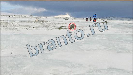 решения на игру Где же кот Уровень 6675