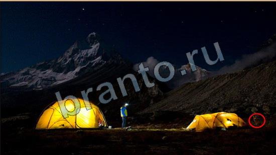 ответы на игру Где же кот Уровень 6676