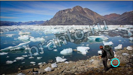 Где же кот ответы в одноклассниках Уровень 6679