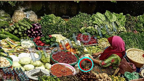 Решения на игру Где же кот Уровень 6683