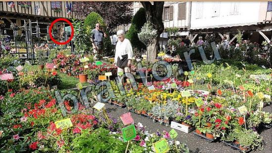 Где же кот игра ответы в одноклассниках Уровень 6687