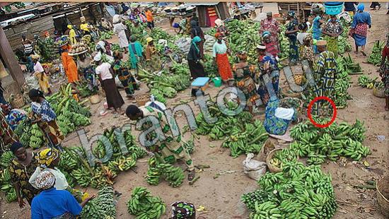 решебник на игру Где же кот Уровень 6691