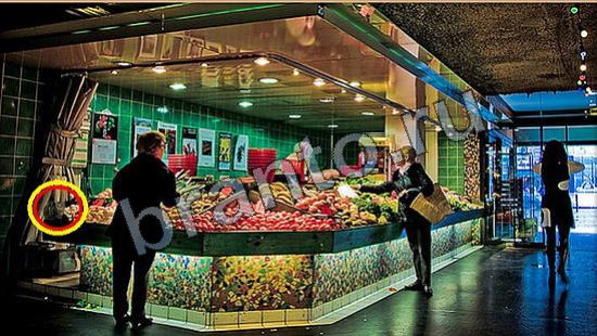 Где же кот? решения Уровень 6692