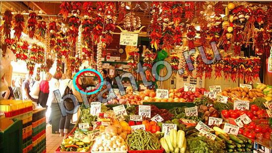 Где же кот игра ответы Уровень 6693