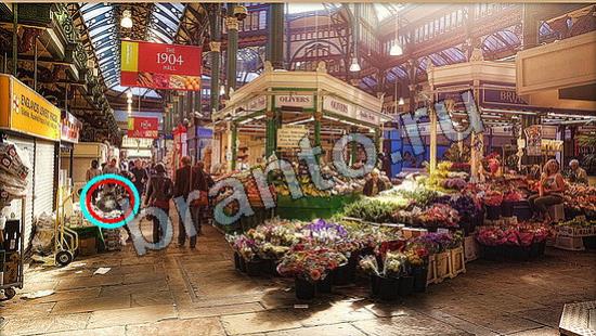 Игра Где же кот ответы Уровень 6697