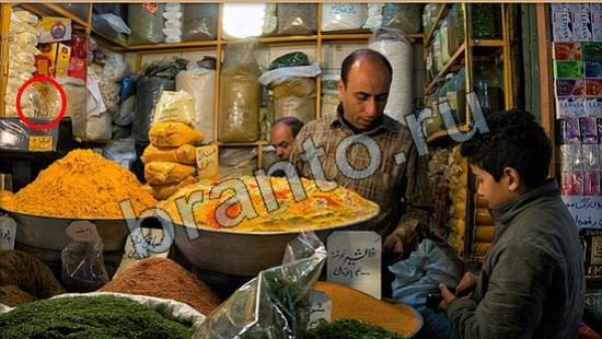 Игра Где же кот прохождение Уровень 6700