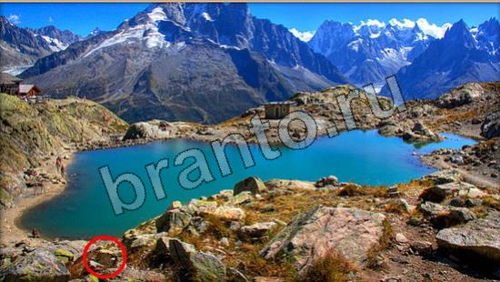 прохождение на игру Где же кот Уровень 6701