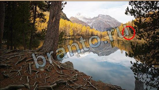 Где же кот прохождение игры Уровень 6702