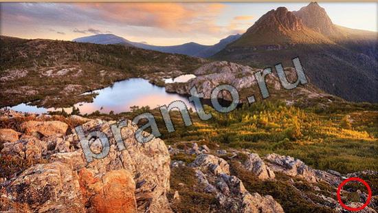 Прохождение игры Где же кот Уровень 6704