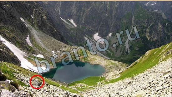 ответы Где же кот Уровень 6705