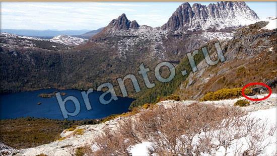 ответы для игры Где же кот Уровень 6707