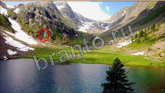 Где же кот игра ответы Уровень 6709