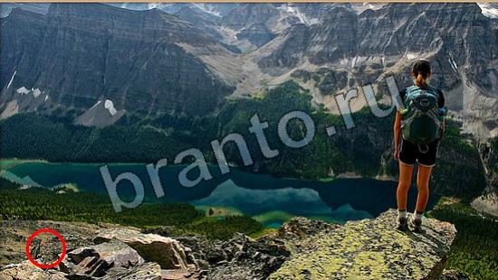 Где же кот помощь в картинках Уровень 6711