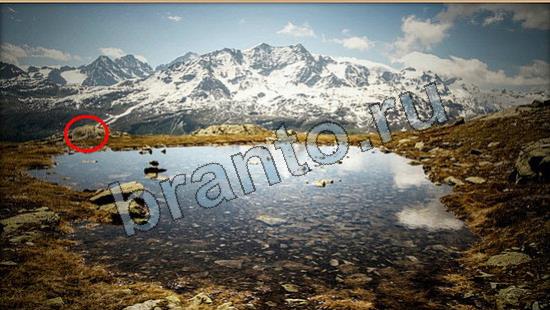 ответы на игру Где же кот Уровень 6714