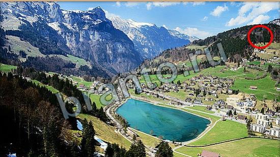 решения на игру Где же кот Уровень 6715