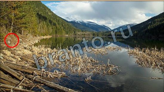 ответы на игру Где же кот Уровень 6716