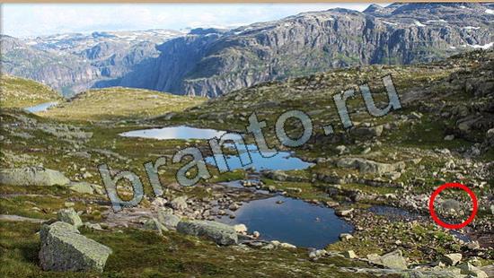 ответы в картинках на игру Где же кот Уровень 6717