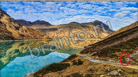 Где же кот ответы в одноклассниках Уровень 6719