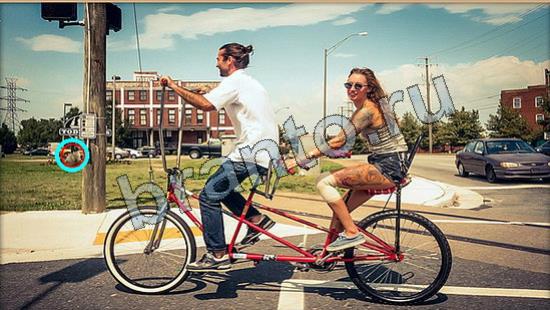 Подсказки на игру Где же кот Уровень 6722