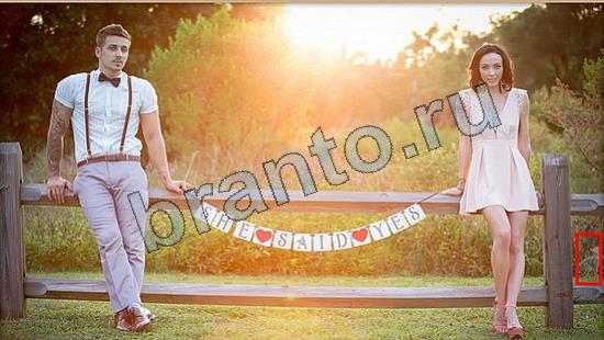 Где же кот? подсказки Уровень 6729