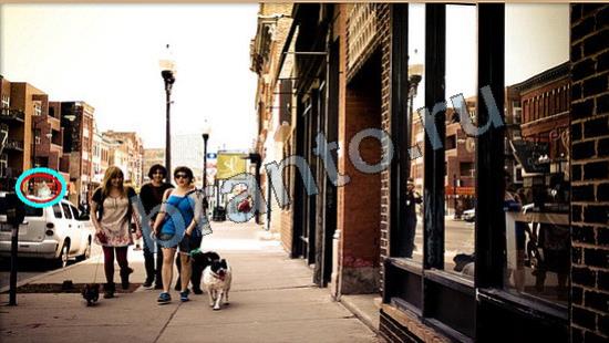 решебник на игру Где же кот Уровень 6731