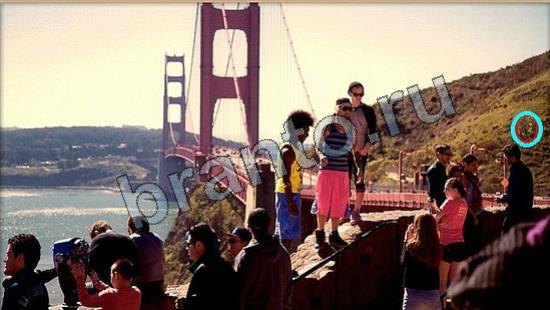 Где же кот? решения Уровень 6732